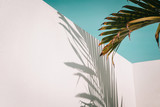 Palm tree leaves against turquoise sky and white wall. Pastel colors, creative colorful minimalism. Copy space for text