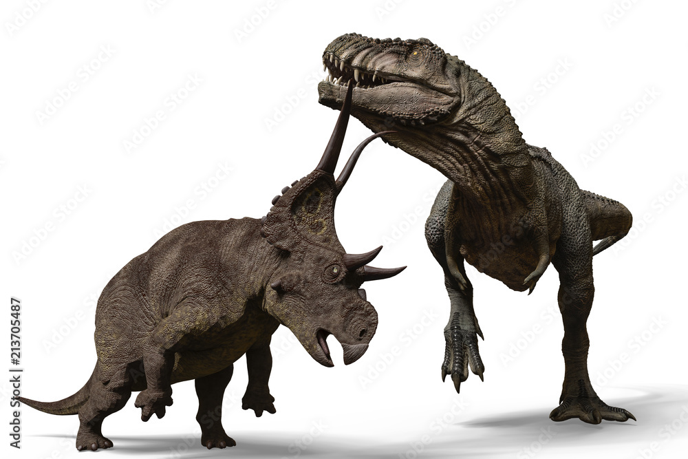 Fototapeta premium t-rex vs diabloceratops