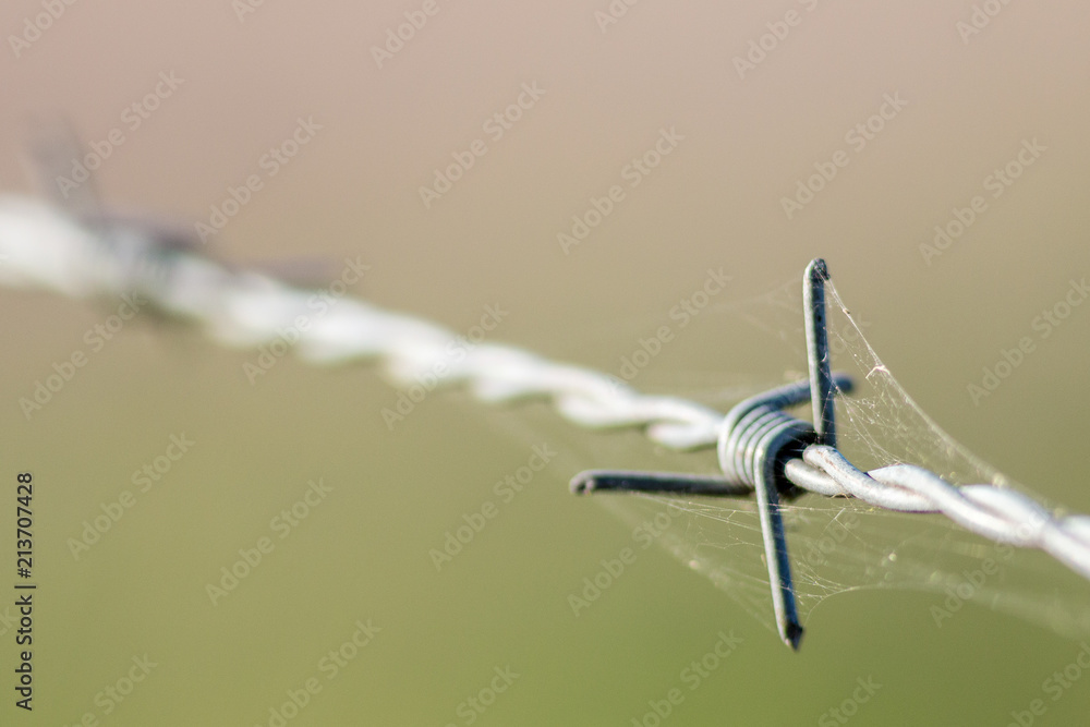 Close up of barbed wire with cobweb Close up of barbed wire with cobweb