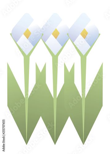 three white flowers of narcissus geometric rhombuses with green leaves stems objects isolated on white background