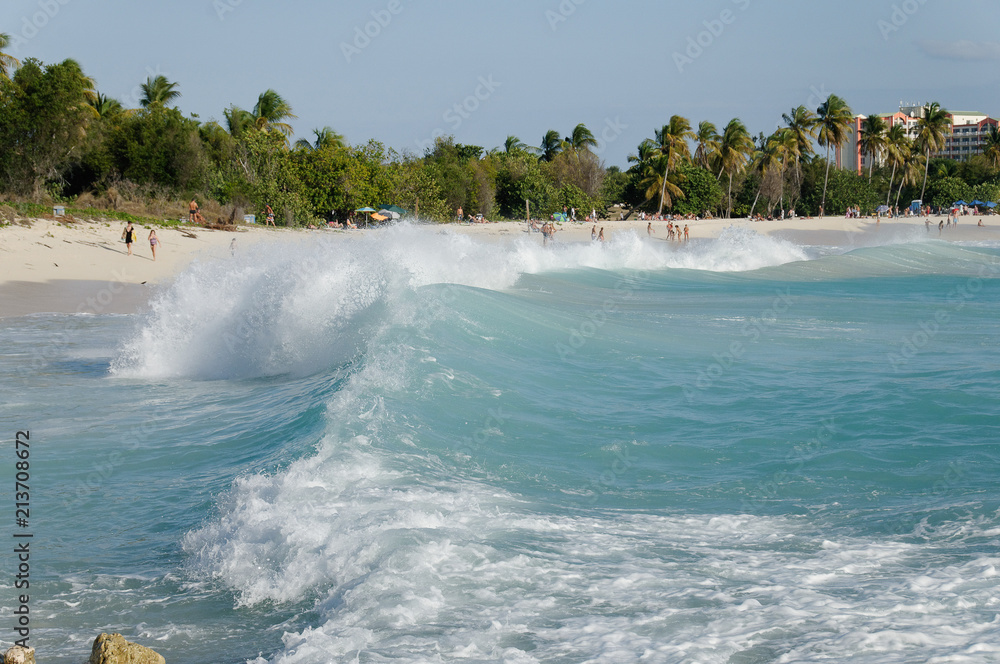 Mullet bay