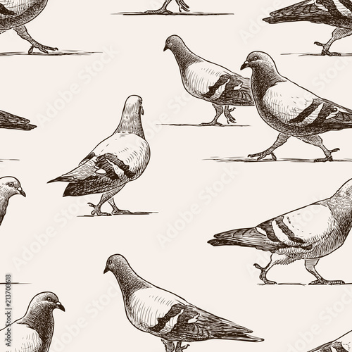 Seamless background of walking city pigeons