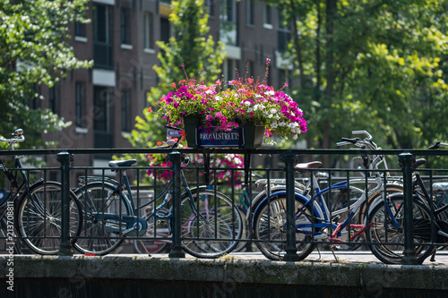 Summer flowers on Amsterdam canal bridge