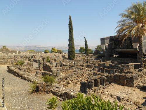 Canvastavla Capernaum Synagogue