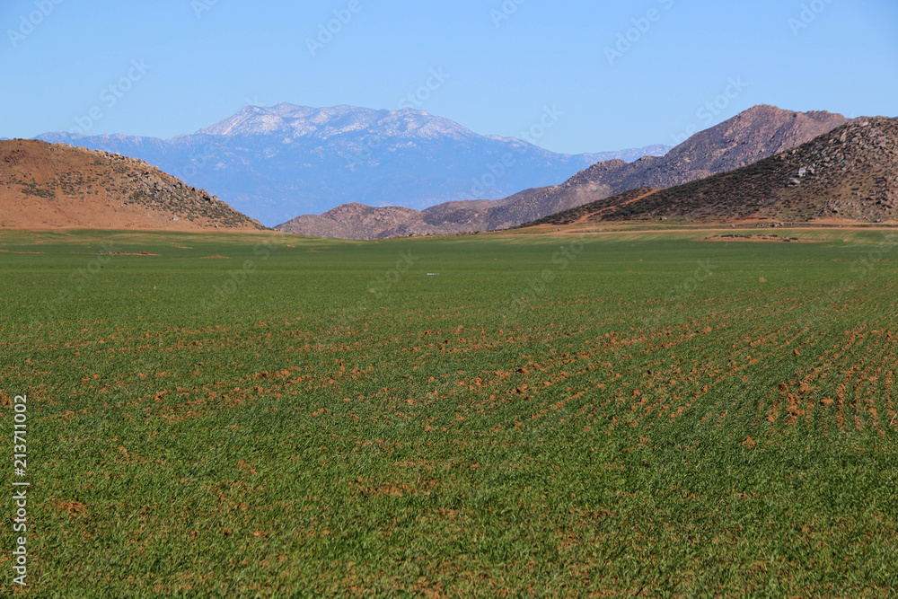 Onion Fields and Mountains