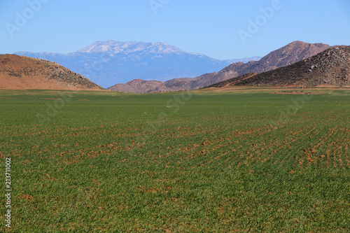 Onion Fields and Mountains