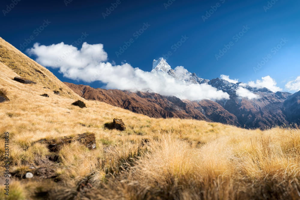 Сolorful Himalayan landscape, golden field and the majestic mountain  Machapuchare