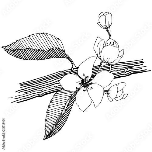 Apple tree in a vector style isolated. Full name of the plant: apple tree. Vector flower for background, texture, wrapper pattern, frame or border.