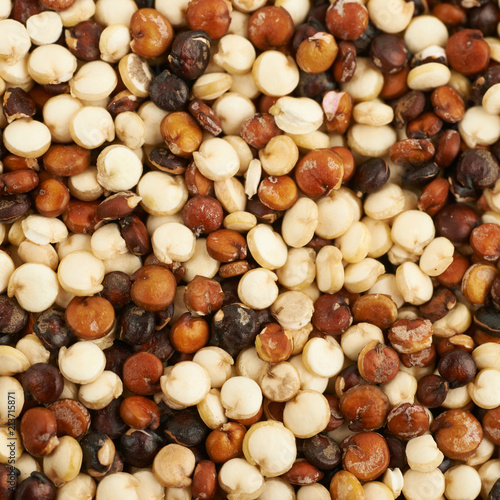 Surface coated with the quinoa seeds