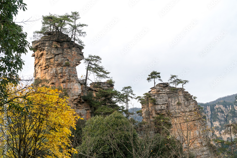 Obraz premium Landscape of Zhangjiajie. Taken from Old House Field. Located in Wulingyuan Scenic and Historic Interest Area which was designated a UNESCO World Heritage Site as well as AAAAA scenic area in china.