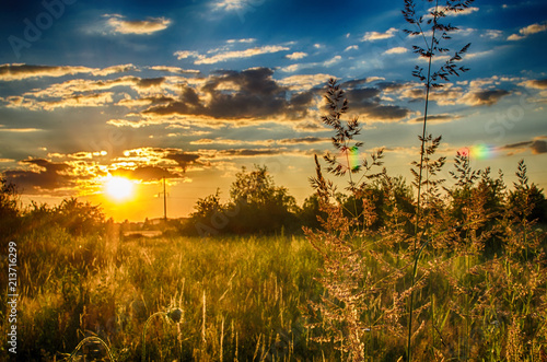 The sky and sunset with the field