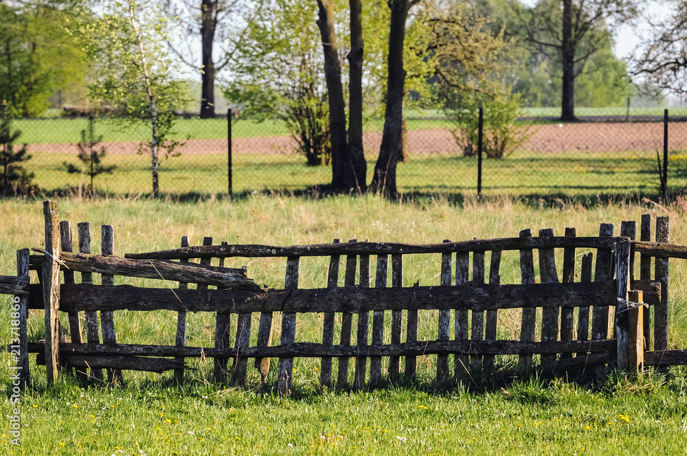 Old wooden fence between pasturages in Masovian Voivodeship of Poland