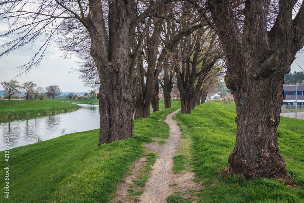 Footpath on a flood embankment of River Morava in Uherske Hradiste, small city in Czech Republic Footpath on a flood embankment of River Morava in Uherske Hradiste, small city in Czech Republic