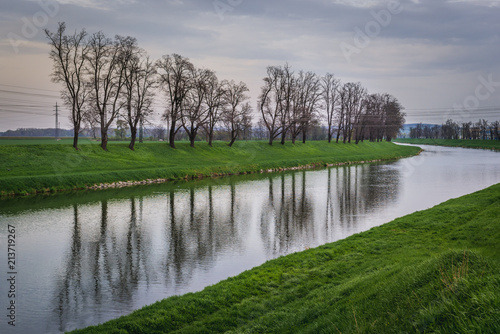 Green banks of River Morava in Uherske Hradiste, small city in Czech Republic