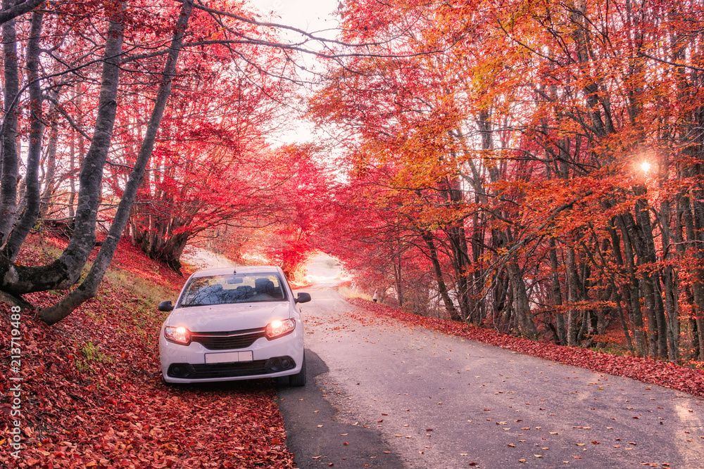 The car is parked in the autumn forest. October 31, 2015.