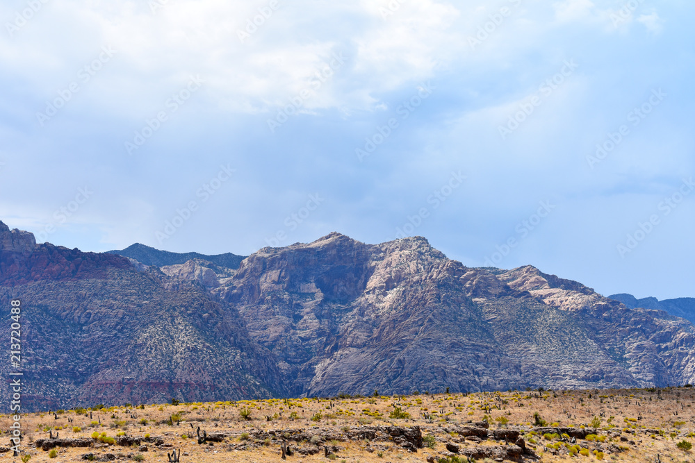 Fototapeta premium Red Rock Canyon