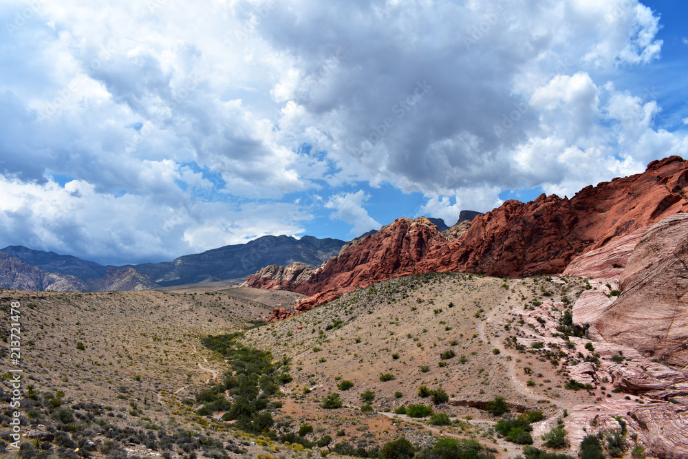 Fototapeta premium Red Rock Canyon