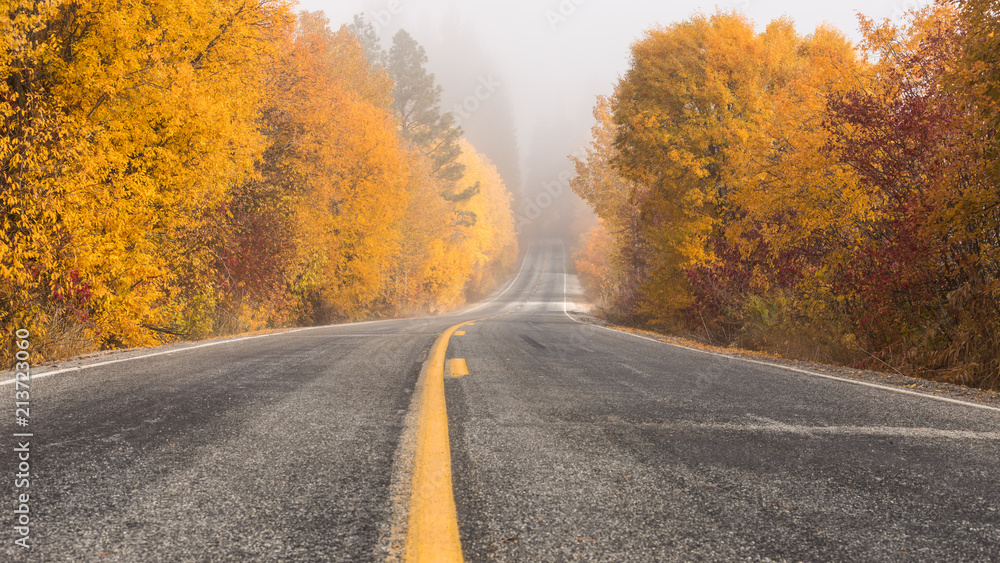 Tree-lined Road in Autumn Fog Tree-lined Road in Autumn Fog