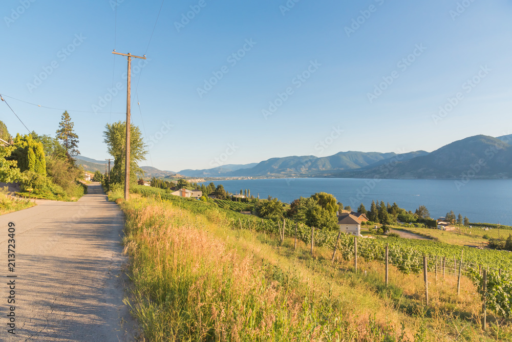 Country road on hillside with views of vineyards, lake, mountains and blue sky in summer