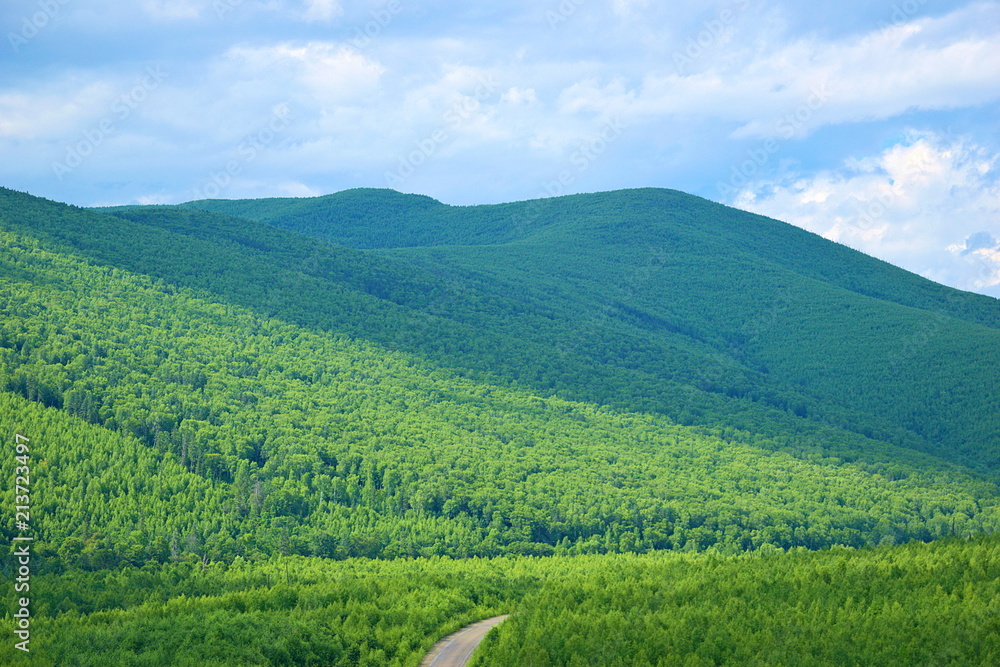 Obraz premium Forests on hills and road. Huge areas of mixed forest. Green hills are illuminated by the sun. Russian far East. The mountains of Sikhote-Alin.