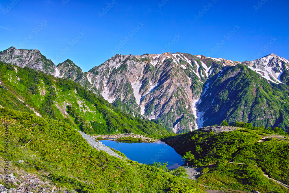 Naklejka premium 八方尾根から見た、朝日を浴びた新緑の八方池 