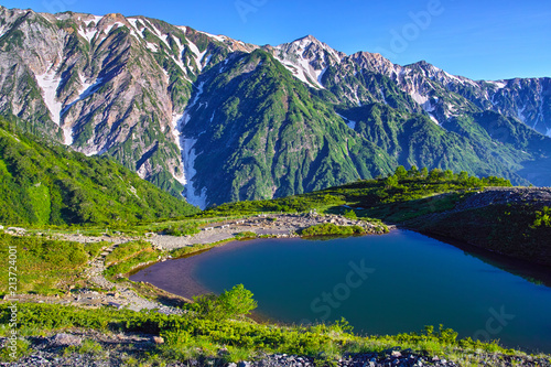 八方尾根から見た、朝日を浴びた新緑の八方池
