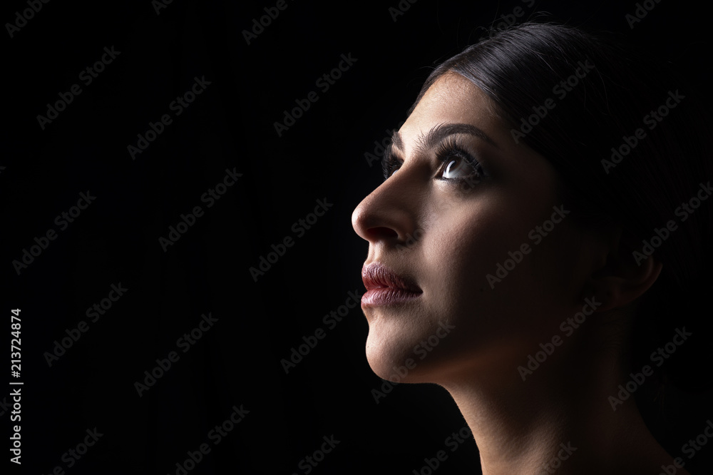 fashion art studio portrait of beautiful elegant woman. fashion art studio portrait of beautiful elegant woman.