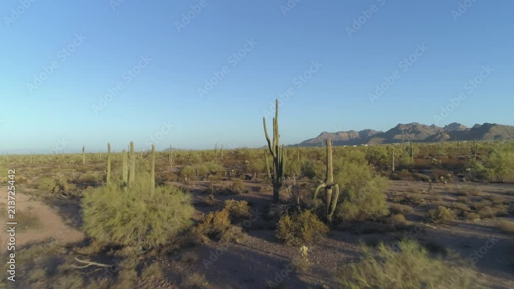 4K Aerial of Iconic Arizona Sonoran Desert with Saguaro Cacti and Amazing Horizon 4K Aerial of Iconic Arizona Sonoran Desert with Saguaro Cacti and Amazing Horizon