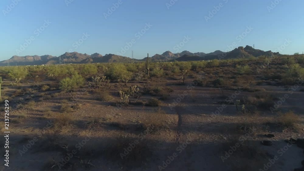 4K Aerial of Iconic Arizona Sonoran Desert with Saguaro Cacti at Sunrise 4K Aerial of Iconic Arizona Sonoran Desert with Saguaro Cacti at Sunrise