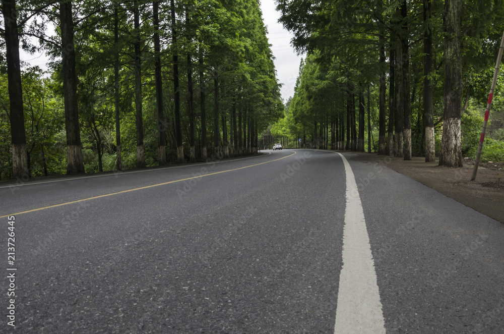 Landscape with curvy road at bright summer day Landscape with curvy road at bright summer day