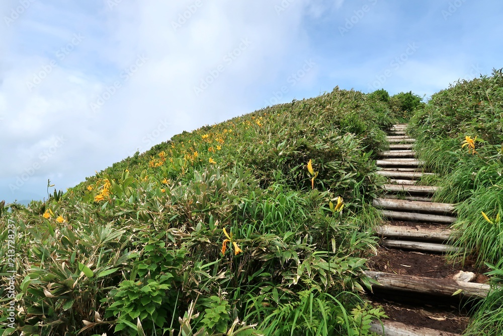 Fototapeta premium 日本の夏山を登る登山者