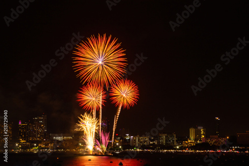 Firework colorful on night city view background for celebration festival. © Pina