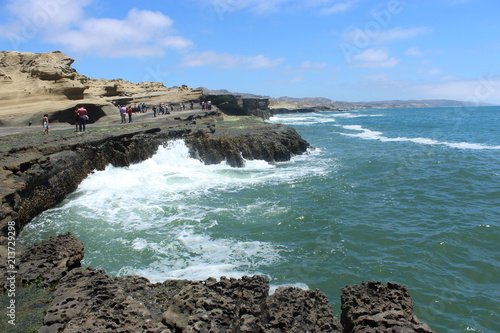 la lobera baja california photo