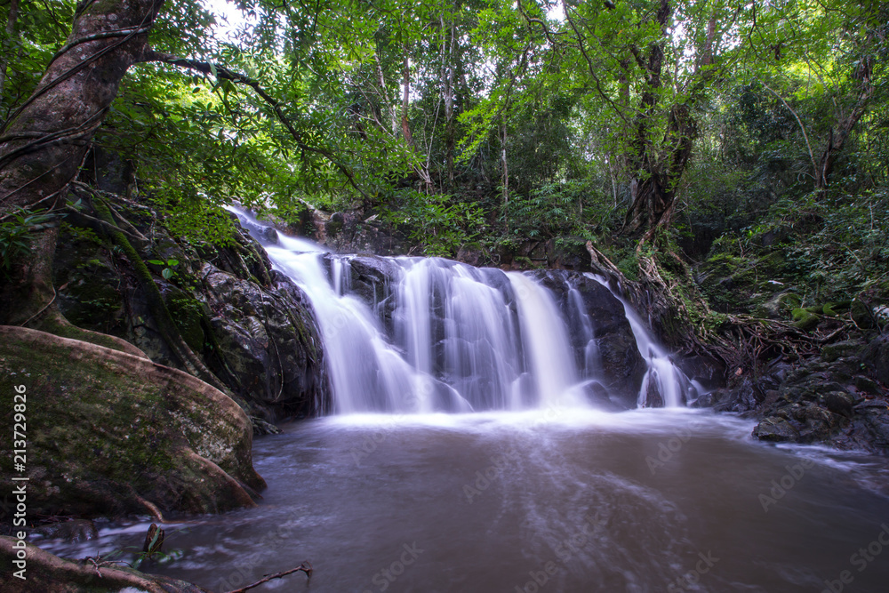 Fototapeta premium Wodospad w lesie