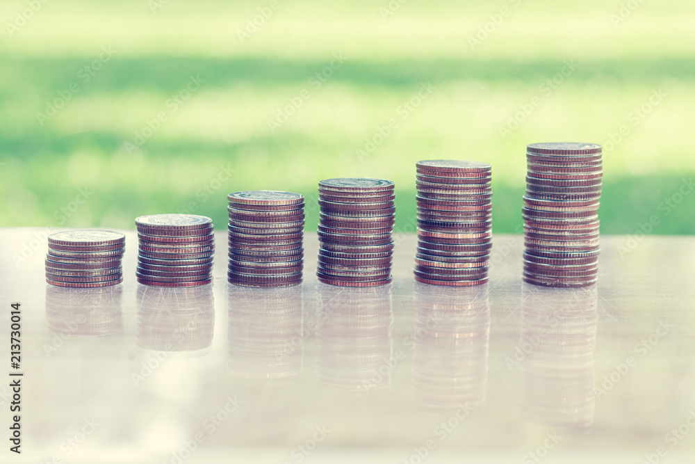 Business Finance and Money concept, Money Gold coin stack growing graph with nature background,Plant growing on gold coin Business Finance and Money concept, Money Gold coin stack growing graph with nature background,Plant growing on gold coin