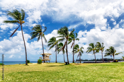 Palm trees and lifeguard tower on tropical beach in Haleiwa, North shore of Oahu, Hawaii