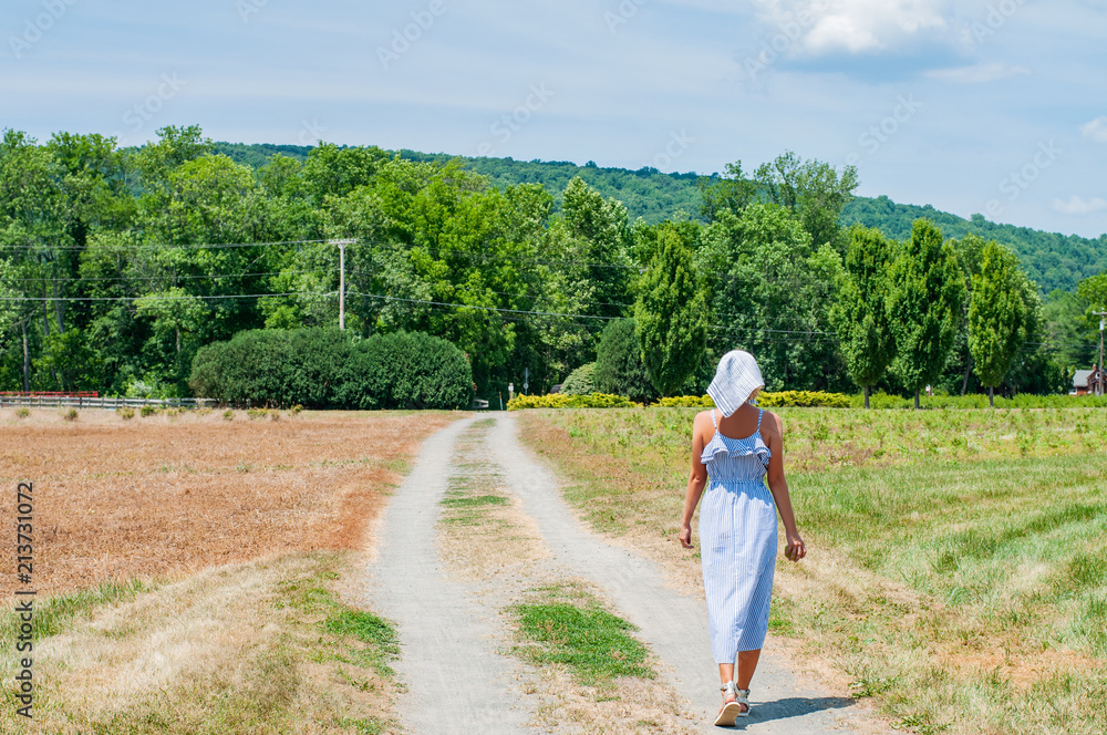 Beautiful woman in dress is walking the road in field