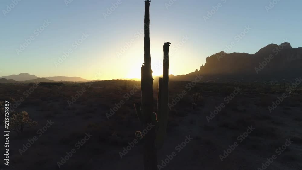 4K Desert Sunrise with Sun Peaking Through Saguaro Cactus by Superstition Mountains 4K Desert Sunrise with Sun Peaking Through Saguaro Cactus by Superstition Mountains