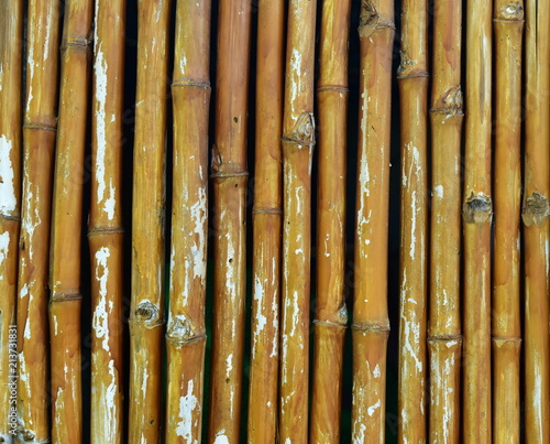 painted bamboo lacquered background fence