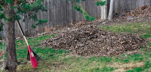 Wallpaper Mural Raked Leaves Torontodigital.ca