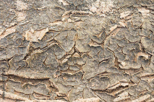 surface of the dry soil.