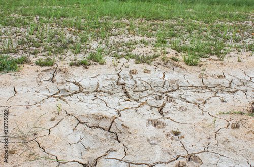 Salt on the soil surface