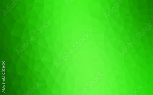 Light Green vector low poly layout.