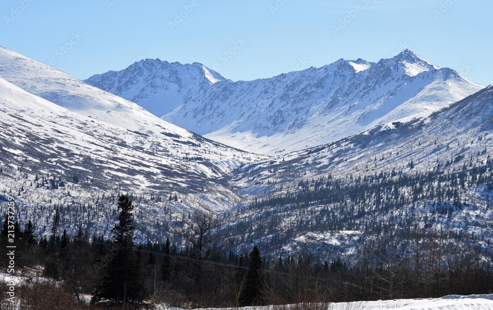 Spring is Coming in Alaska