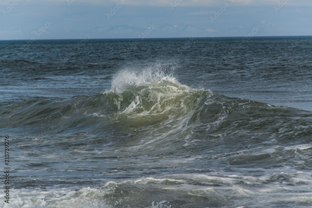 Fototapeta premium waves by the sea