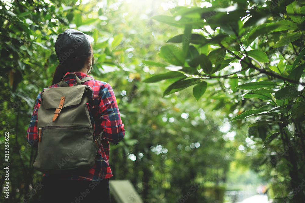 Asian girl traveler walking in the forest. Asian girl traveler walking in the forest.