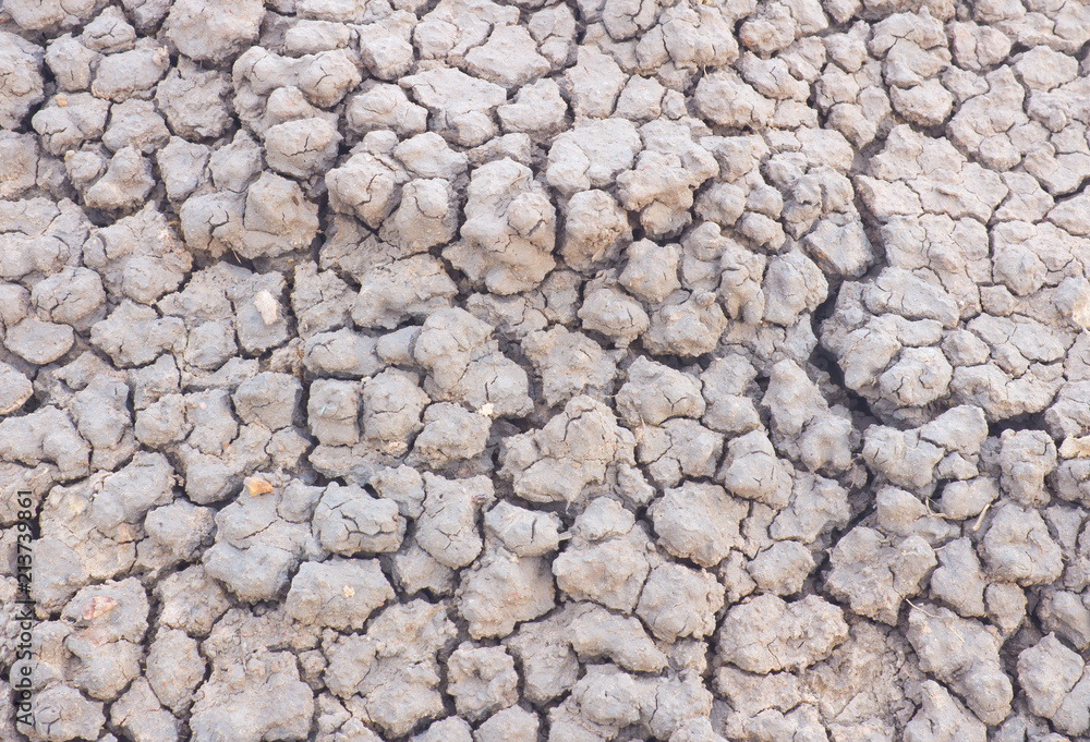 Arid soil Arid soil