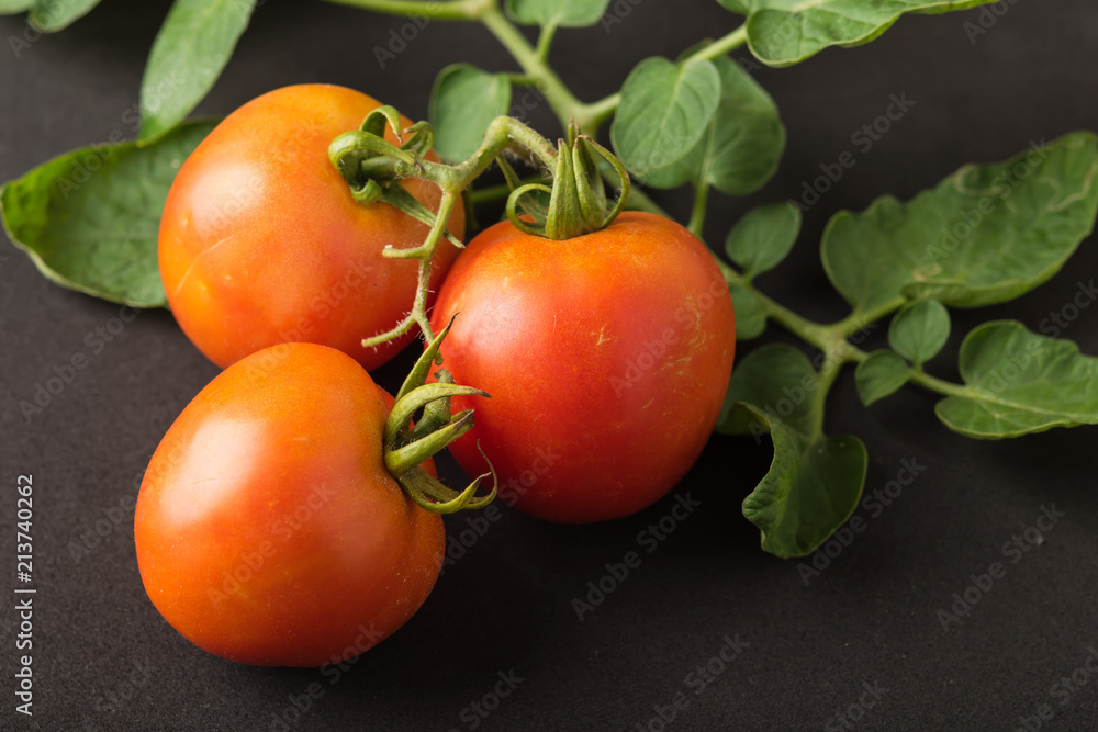 Red Tomato on black background