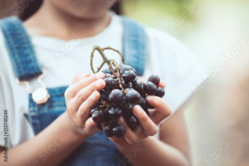 Cute asian child girl holding bunch of red grapes harvested by herself in the vineyard