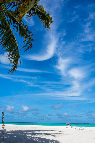 Fototapeta Naklejka Na Ścianę i Meble -  tropical beach in Maldives with few palm trees and blue lagoon